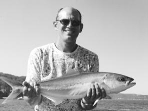 John with an average Pittwater Summer kingfish, caught around Scotland Island.